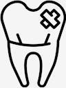 teeth,Tooth