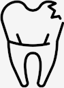 teeth,Tooth