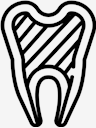 teeth,Tooth