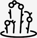 plant,cactus