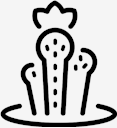 plant,cactus