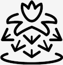 plant,cactus