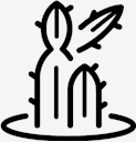 plant,cactus