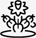 plant,cactus