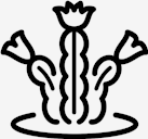 plant,cactus