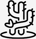 plant,cactus
