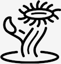 plant,cactus