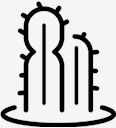 plant,cactus