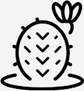 plant,cactus