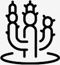 plant,cactus