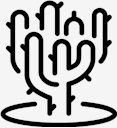 plant,cactus