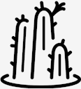 plant,cactus