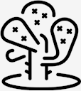 plant,cactus
