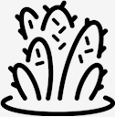 plant,cactus