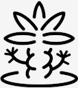 plant,cactus