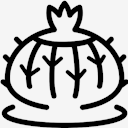 plant,cactus