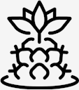 plant,cactus