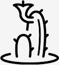 plant,cactus