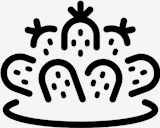 plant,cactus