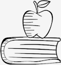 fruit