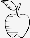 fruit