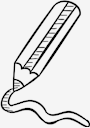 pencils