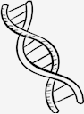 science
