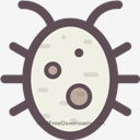 Bug