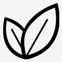 houseplant