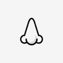 nose
