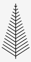 Christmas,Tree