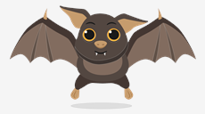 Bat