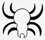 insect