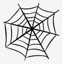 spider