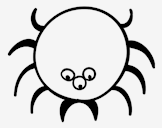 spiders