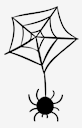 spider,web