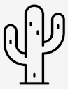 desert