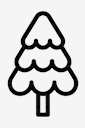christmas,tree