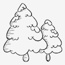 fir
