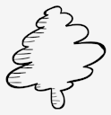 fir