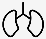 body,parts