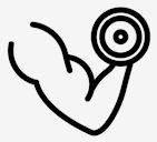 body,parts