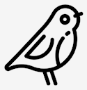 animal