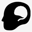 brain