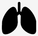 lungs