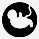 pregnancy