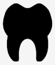 teeth