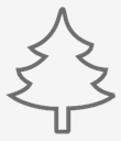 Christmas,tree