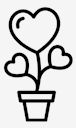 love,plant