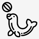 circus,seal